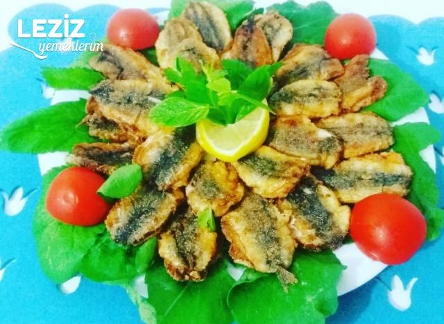 Hamsi Kuşu Tarifi