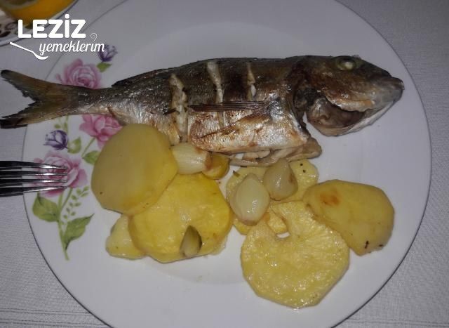 Nefis Fırında Çipura