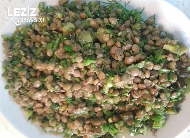 Yeşil Mercimek Salatası (Vitamin Deposu)
