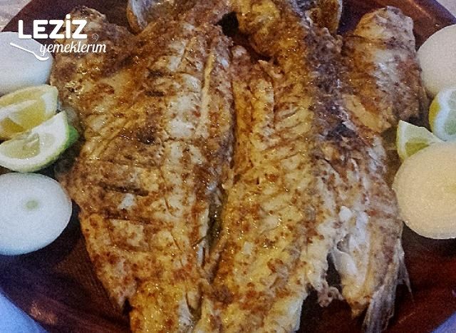 Kalkan Balığı Izgara Tarifi