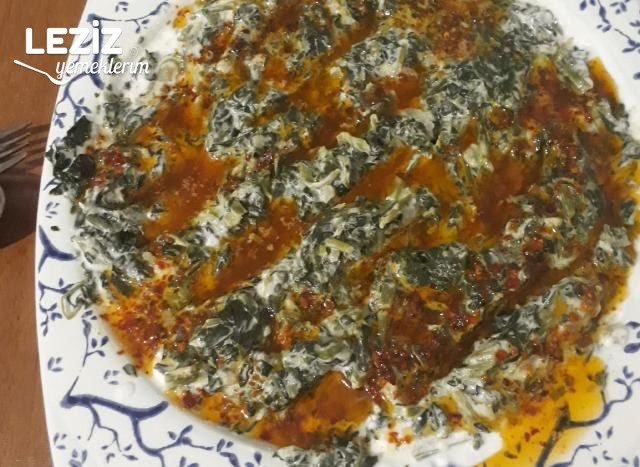 Ispanaklı Borani Tarifi