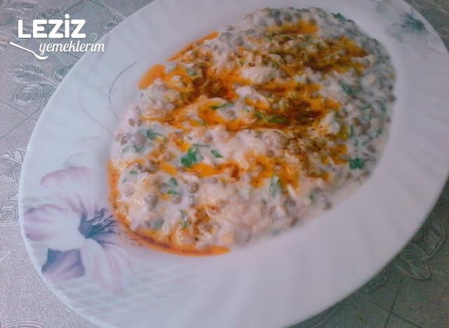 Yoğurtlu Yeşil Mercimekli Doyurucu Salata