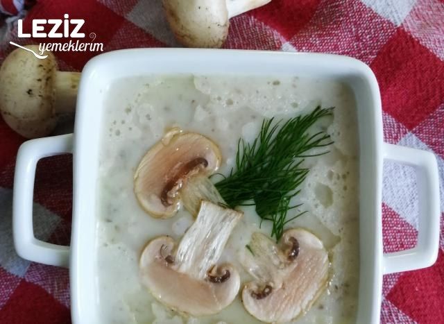 Sütlü Mantar Çorbası Yapımı