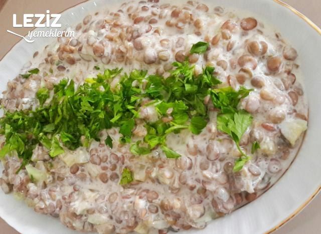 Salatalıklı Mercimek Salatası