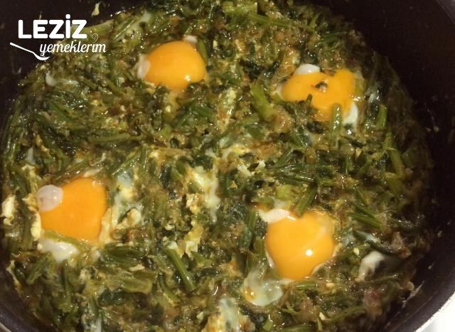 Yumurtalı Ispanak Sapı Kavurması