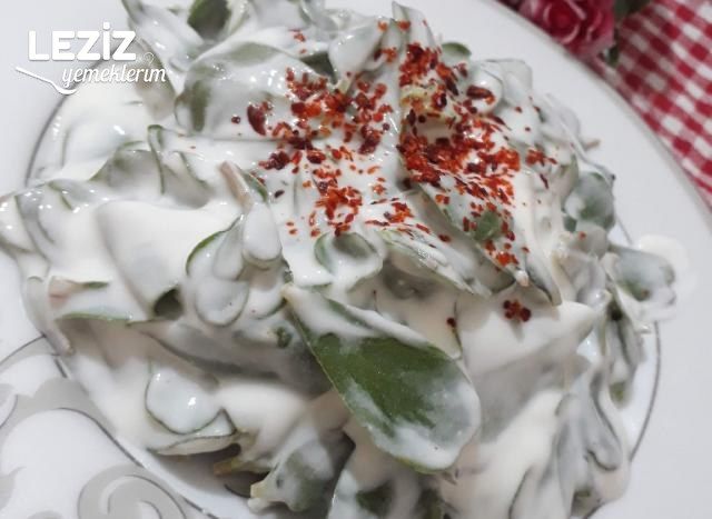 Yoğurtlu Semizotu Salatasının Tarifi