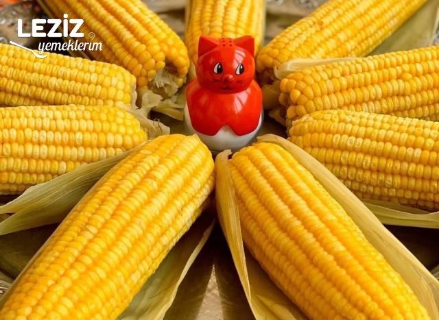 İyi Mısır Nasıl Seçilir?
