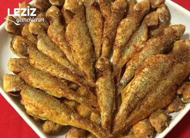 Tekir Balığı Tarifi (Kızartma)