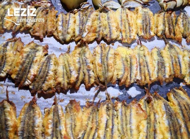 Fırında Nefis Hamsi