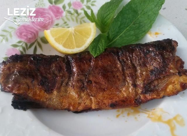 Fırında Balık
