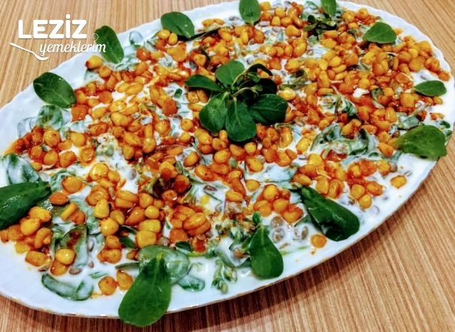 Yoğurtlu Mercimekli Semizotu Salatası
