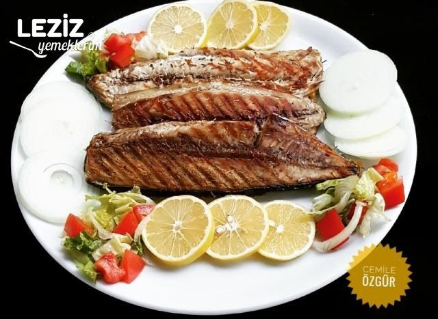 Tost Makinesinde Palamut Nasıl Yapılır