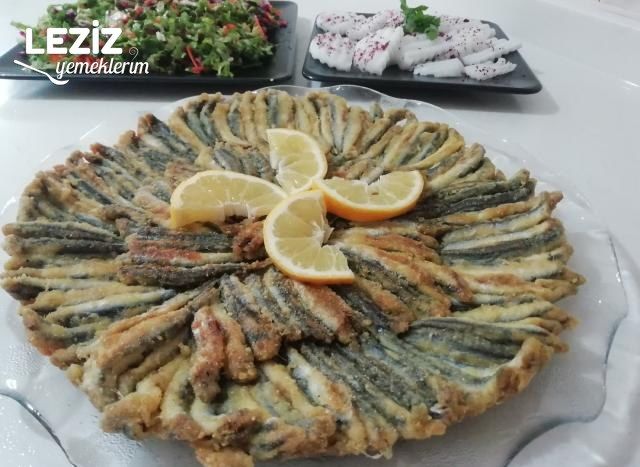 Hamsi Tava