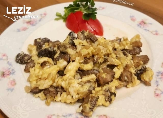Yumurtalı Kuzu Göbeği Mantarı