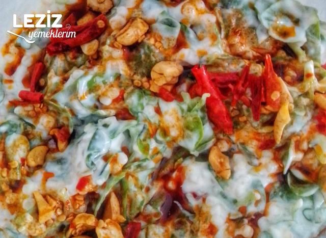 Nefis Semizotlu Atom Salata