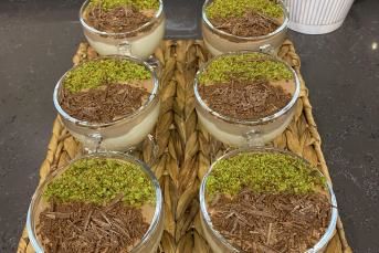 İki Renkli Magnolia