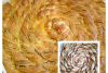 Haşhaşlı Çörek