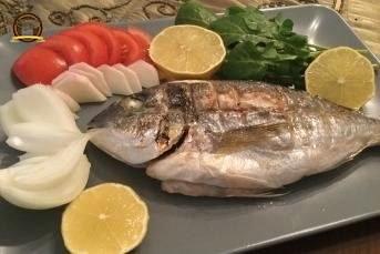 Çipura Izgara