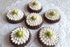 Kakaolu Mini Tart Kekler