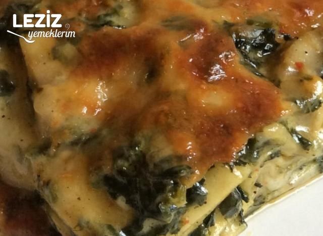Mantarlı Ispanaklı Lazanya