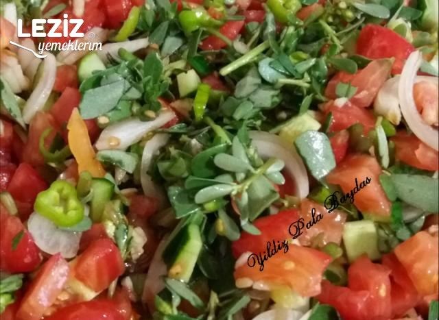 Pirpirim (Semiz Otu) Salatası