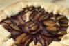 Mürdüm Erikli Galette