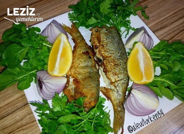 Tavada Nefis Levrek