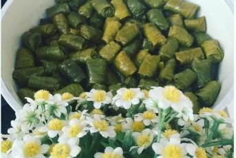 Tokat Dolması