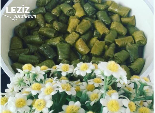 Tokat Dolması