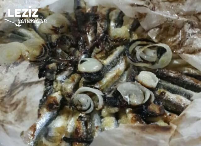 Kağıtta Hamsi (Kokusuz)
