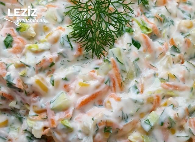 Pratik Mayonezli Renkli Salata