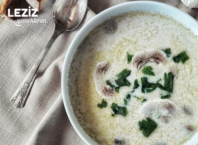 Kremalı Mantar Çorbası Yapılışı