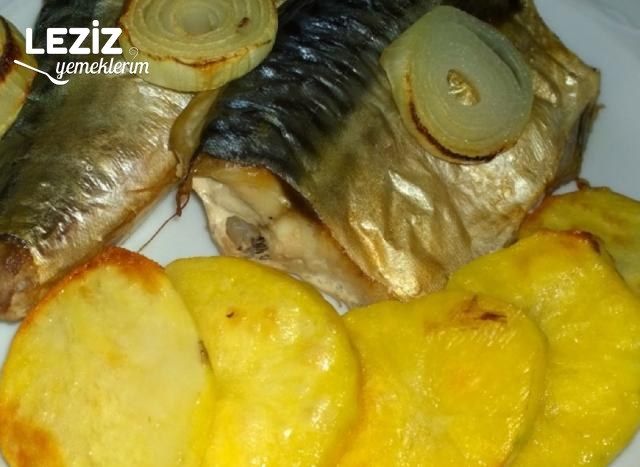 Fırında Palamut Nasıl Yapılır