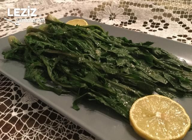 Radika Salatası