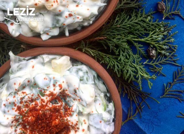 Patetesli Yoğurtlu Semizotu Salatası